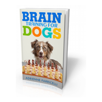 Brain Training For Dogs Review